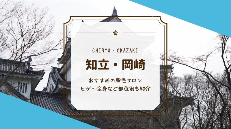 知立 岡崎のおすすめメンズ ヒゲ 脱毛サロン 医療クリニック21選 Mens Motehada