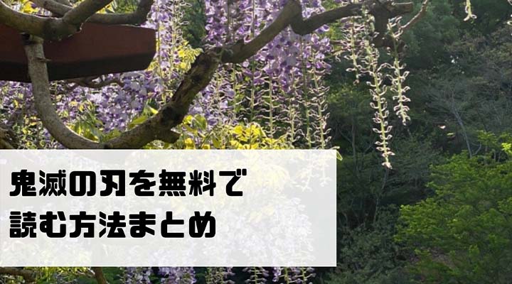 鬼滅の刃の漫画を全巻無料で読めるサイトを調査 全巻セットが高いときは 無料公開アプリはある ネットコラム